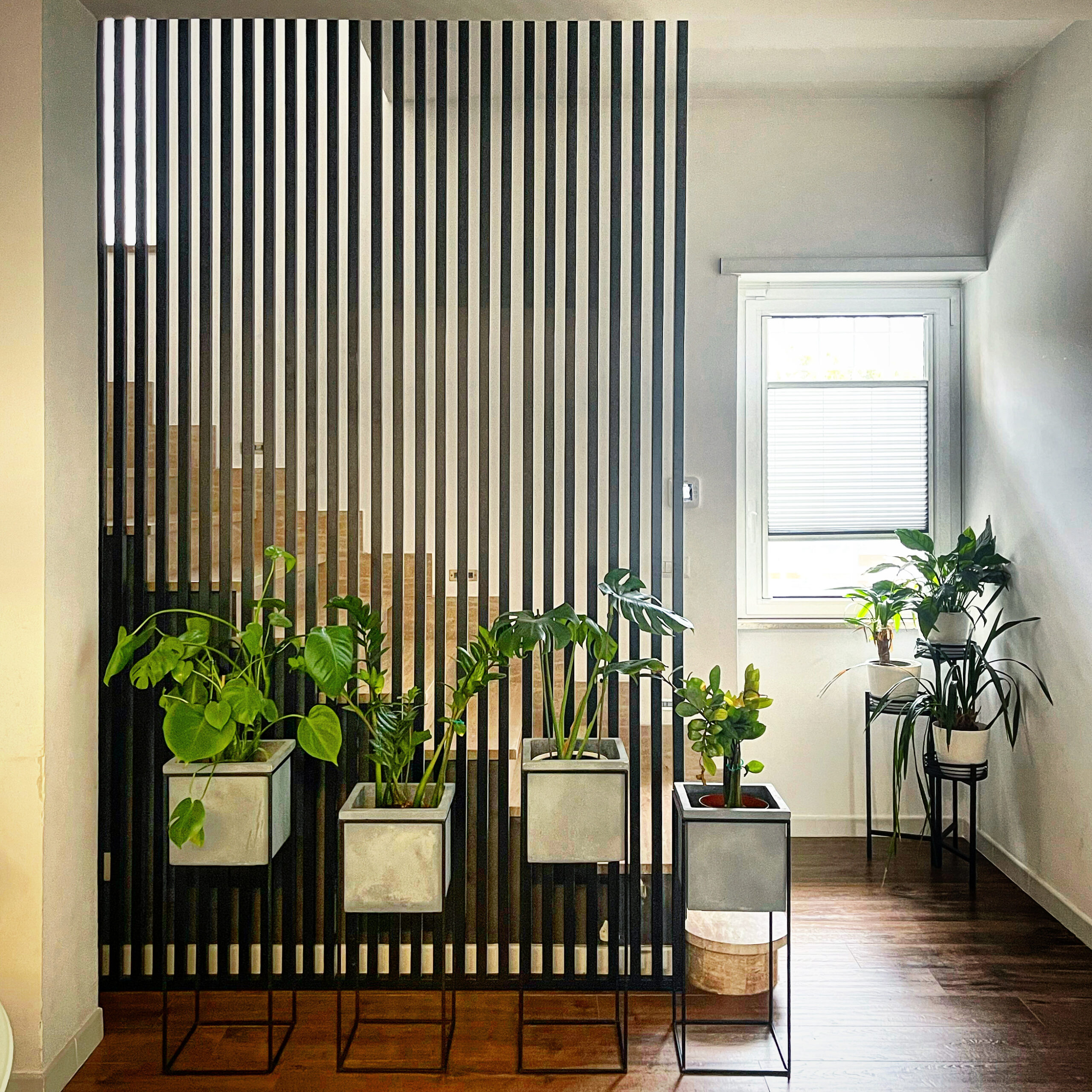 BAE46EA7-31F1-442D-8886-81E3C62F3917